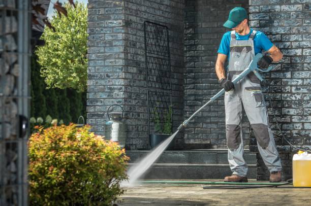 Best Spring Cleaning  in Winfield, AL